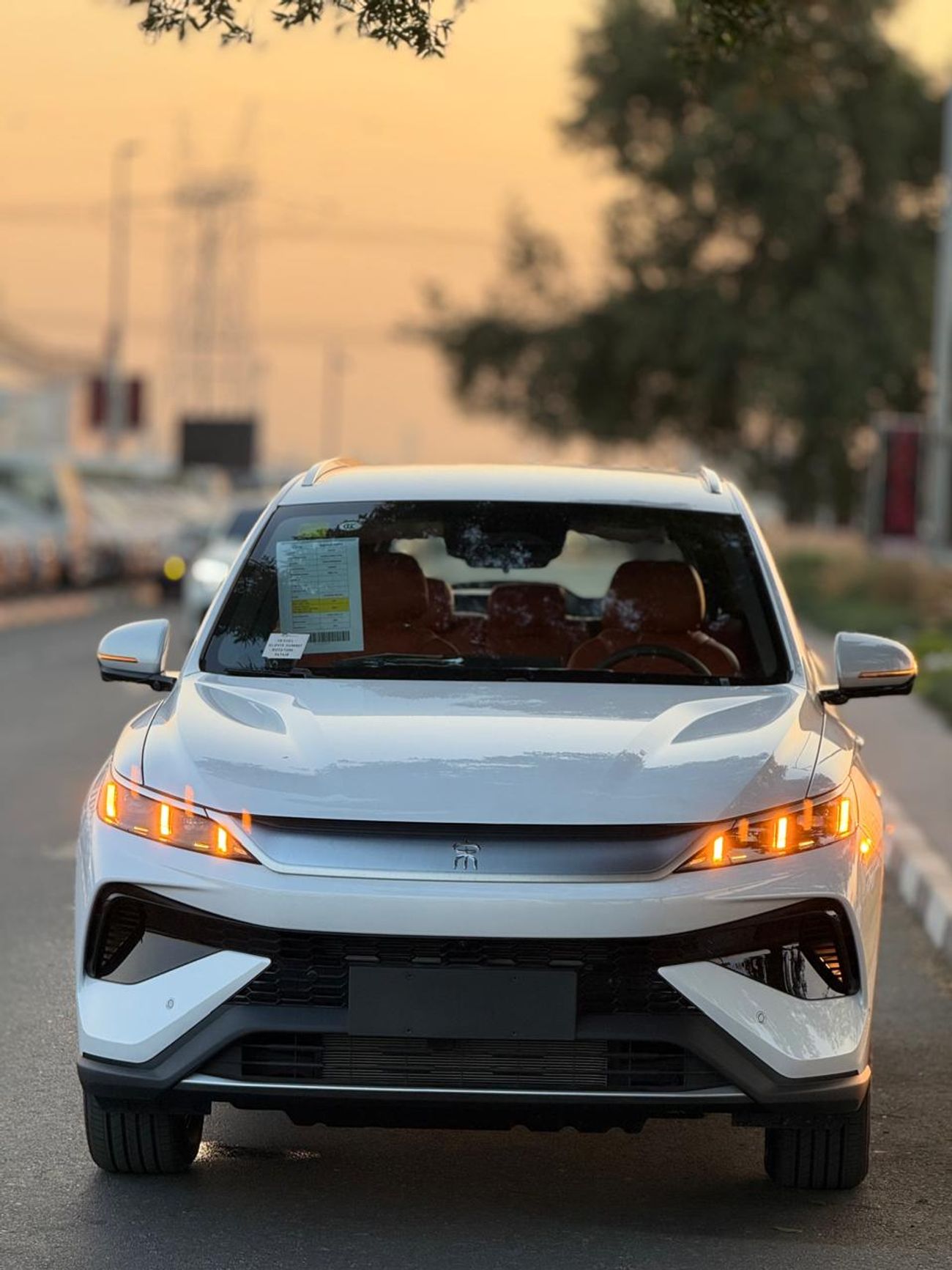 بي واي دي سونغ برو