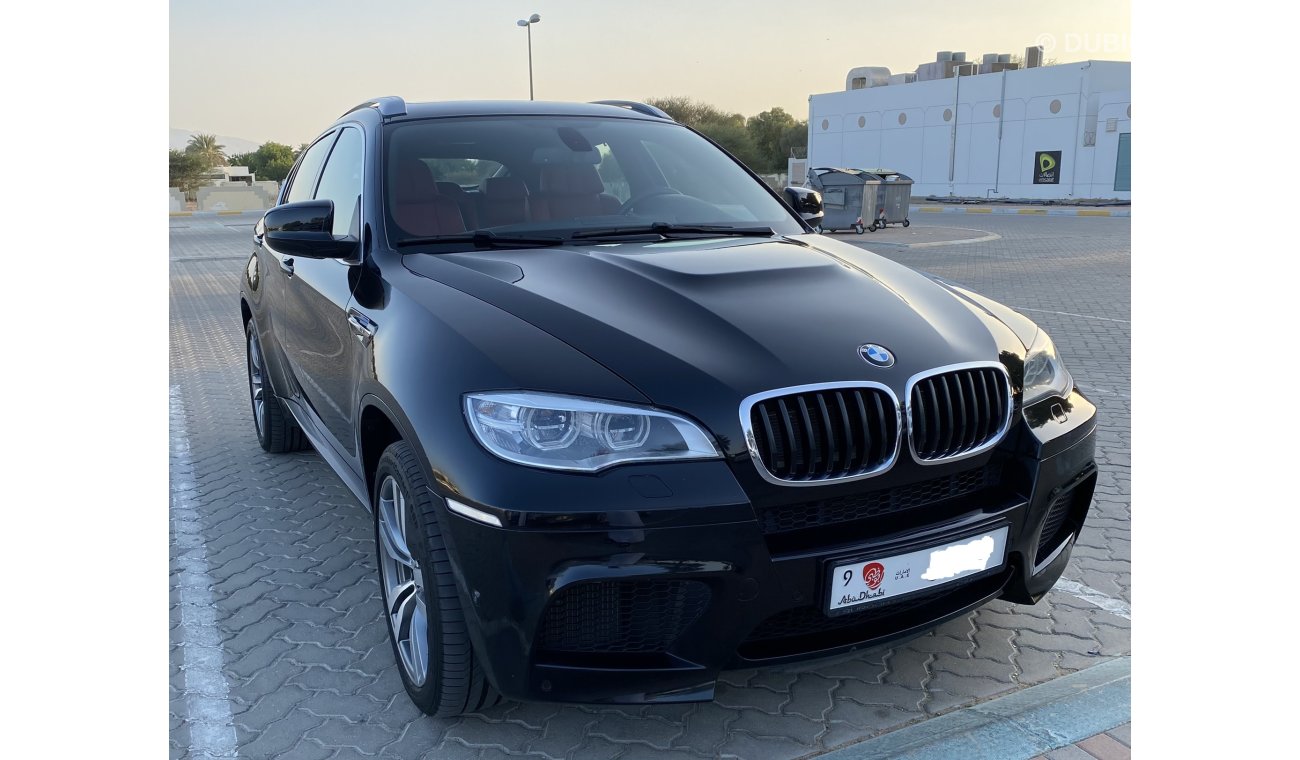 BMW X6M Turbo 5.0