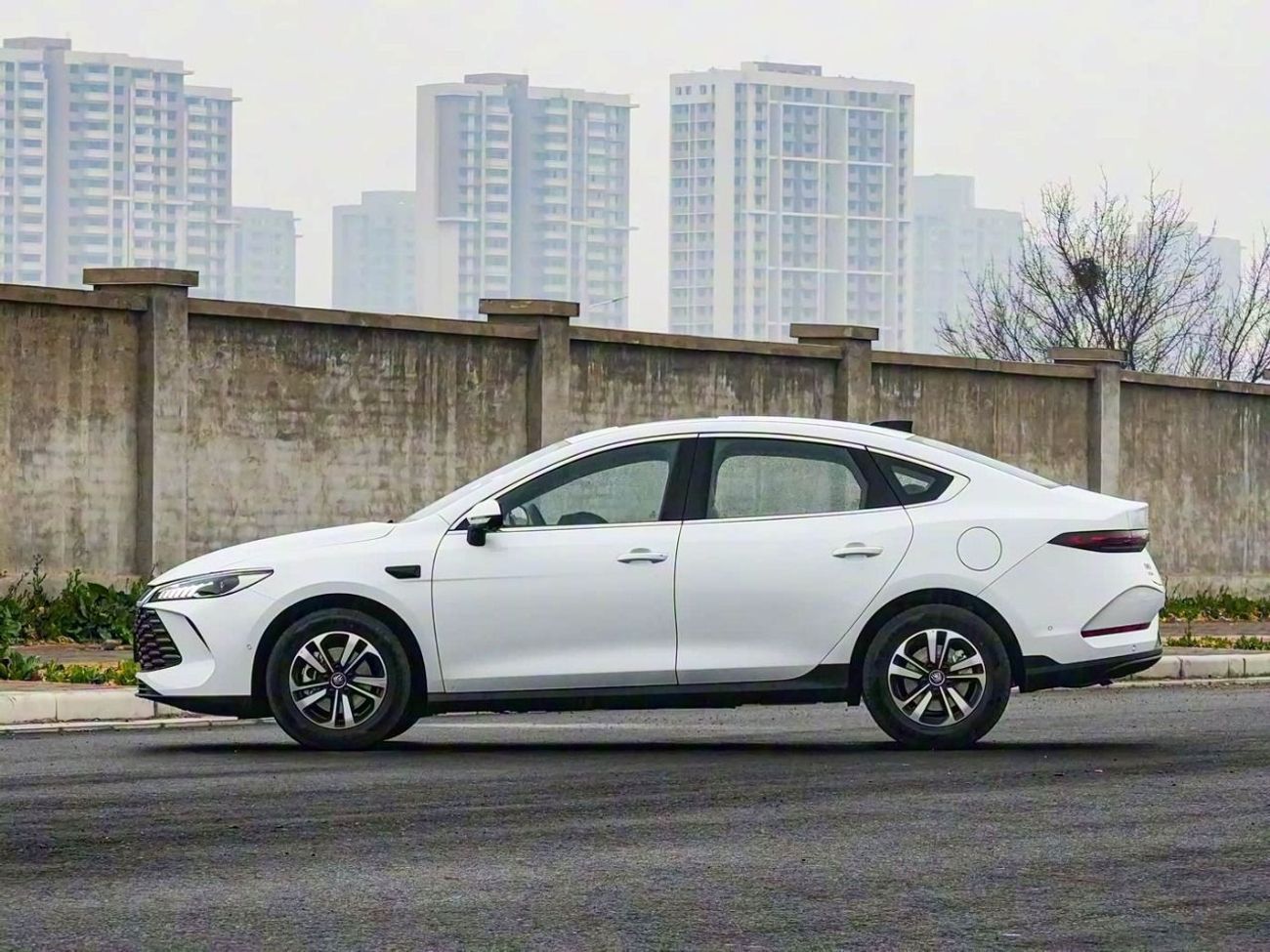 BYD QIN PLUS DM-i 55KM BEYOND EDITION | Smart Driving | 2025 | For Local Registration +10%