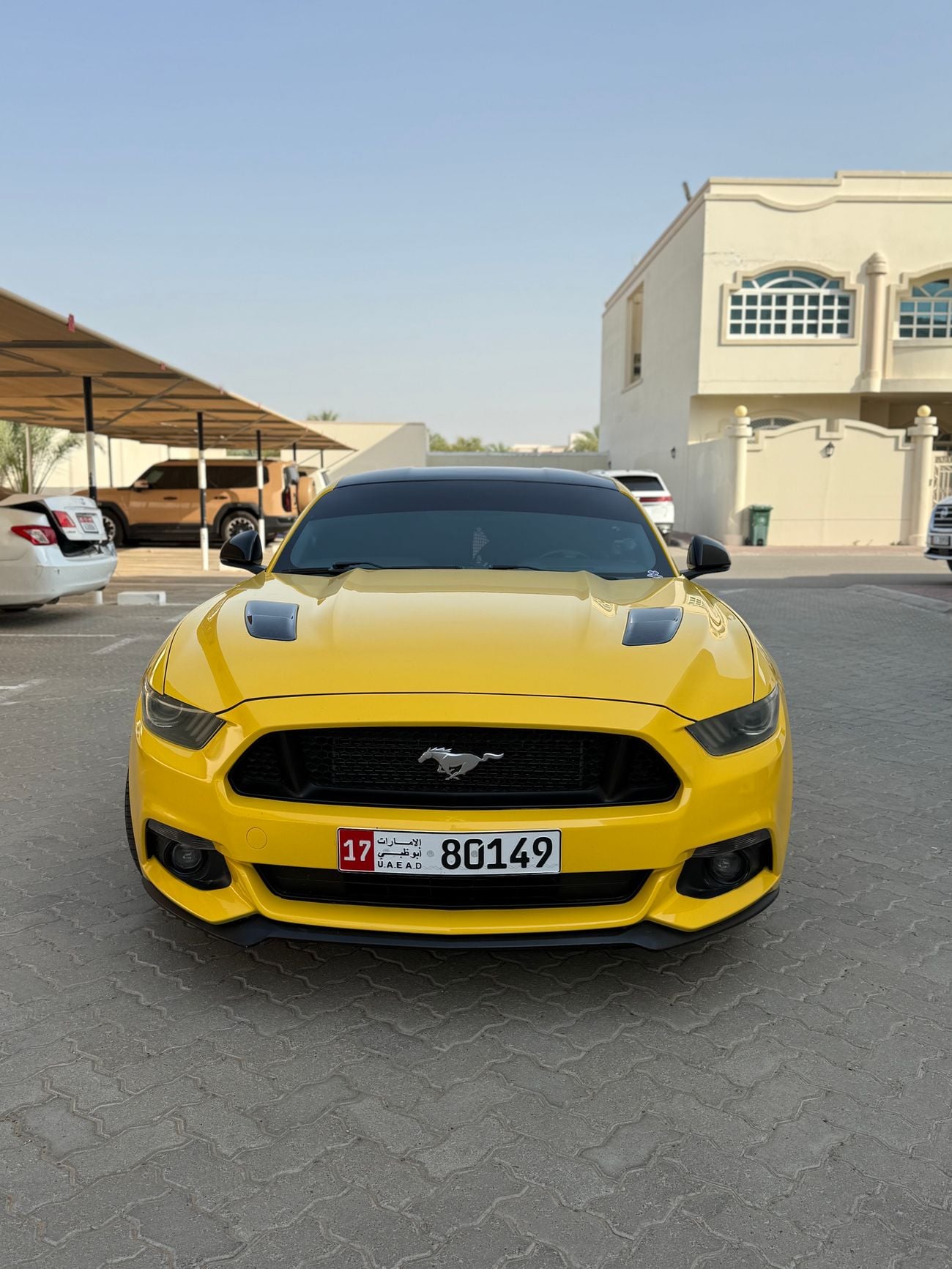 فورد موستانج