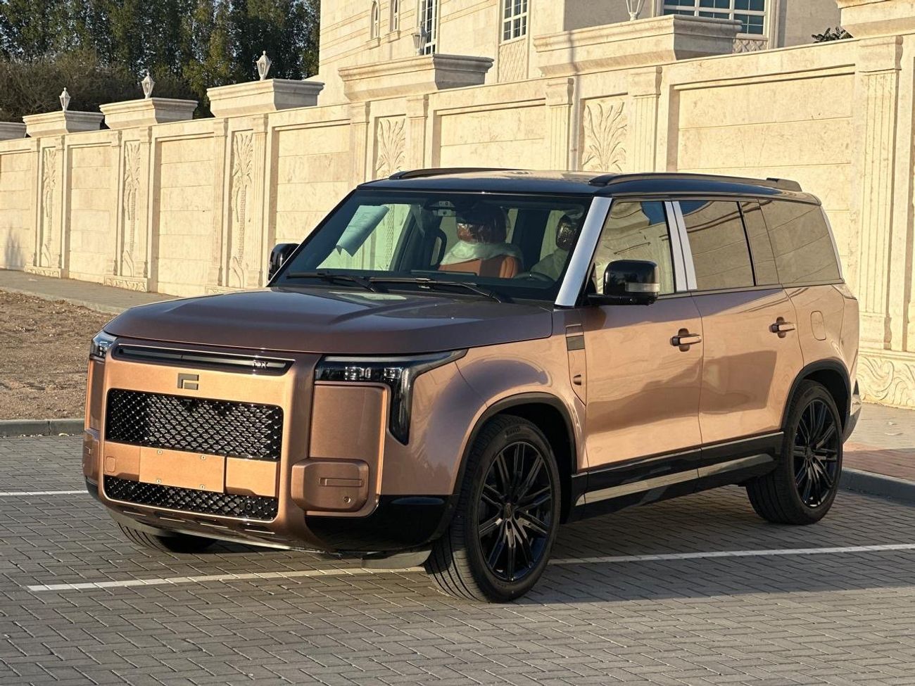 روكس أداماس