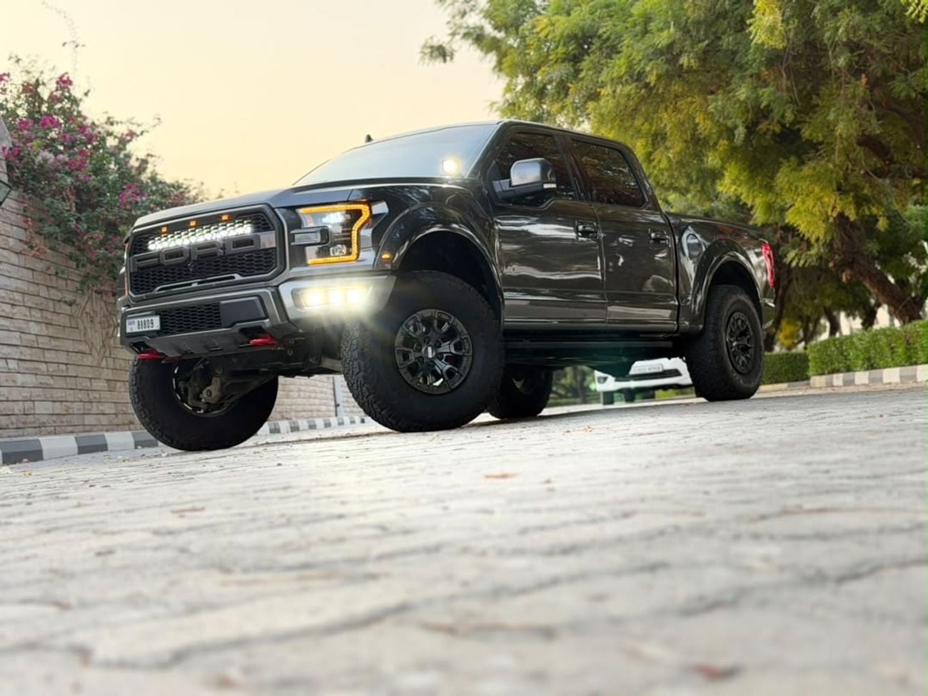 Ford F-150 RAPTOR CREW CAB LUX