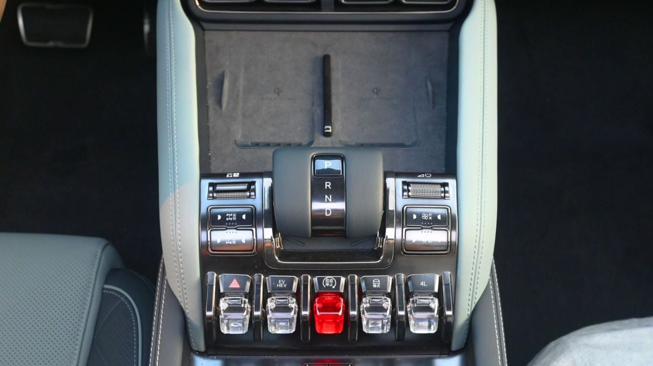 بي واي دي ليوبارد 5