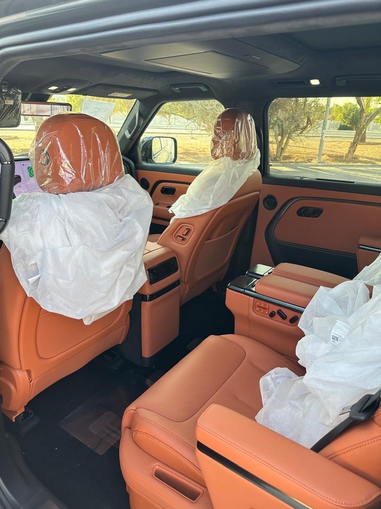 روكس أداماس