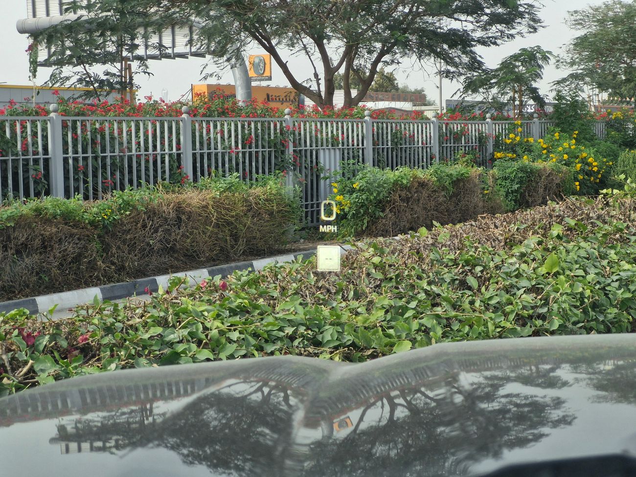 GMC Sierra AT4 Duramax Turbo Diesel Brand New 0Km