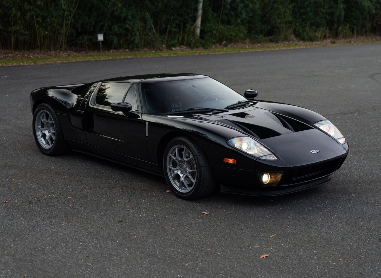 Ford GT Rare 1 of 14 Stripe Delete