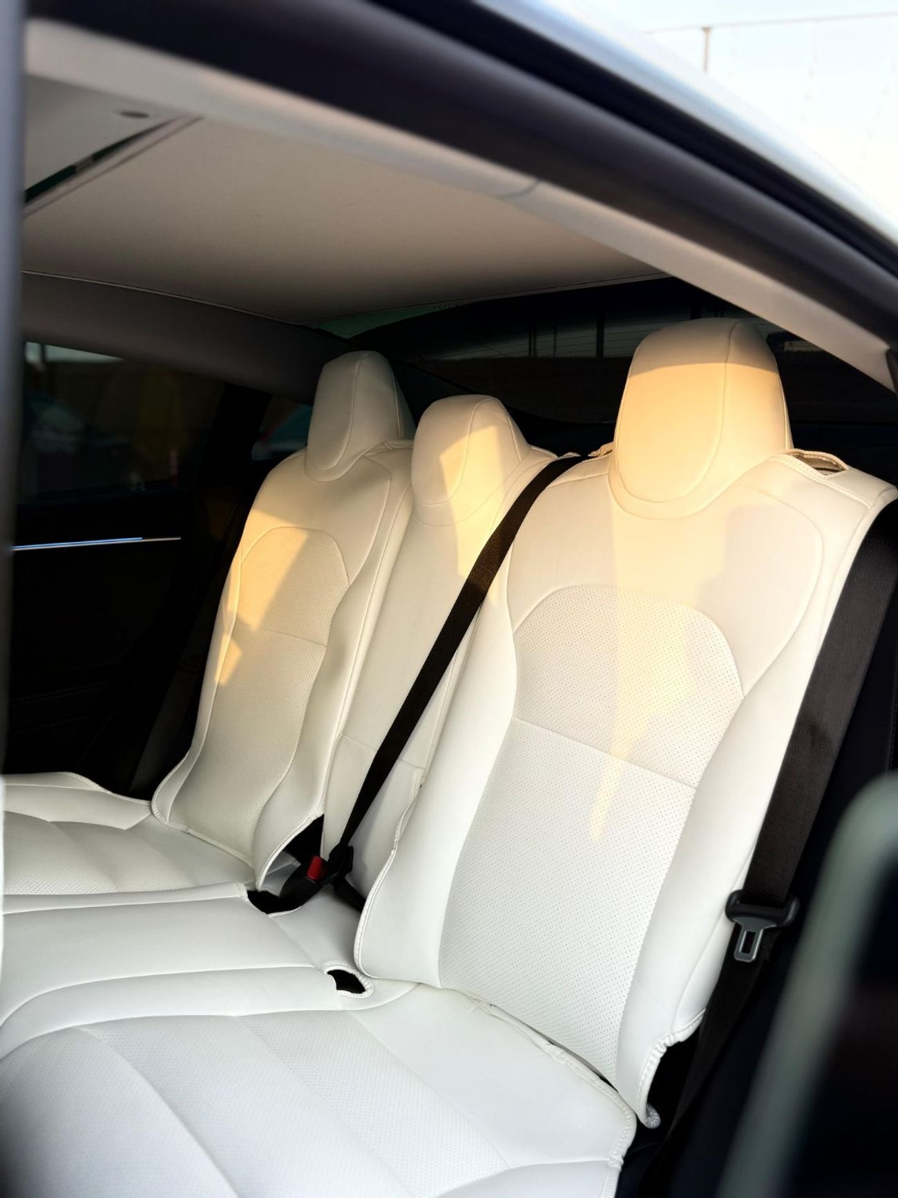 Tesla Model 3 Performance (AWD)