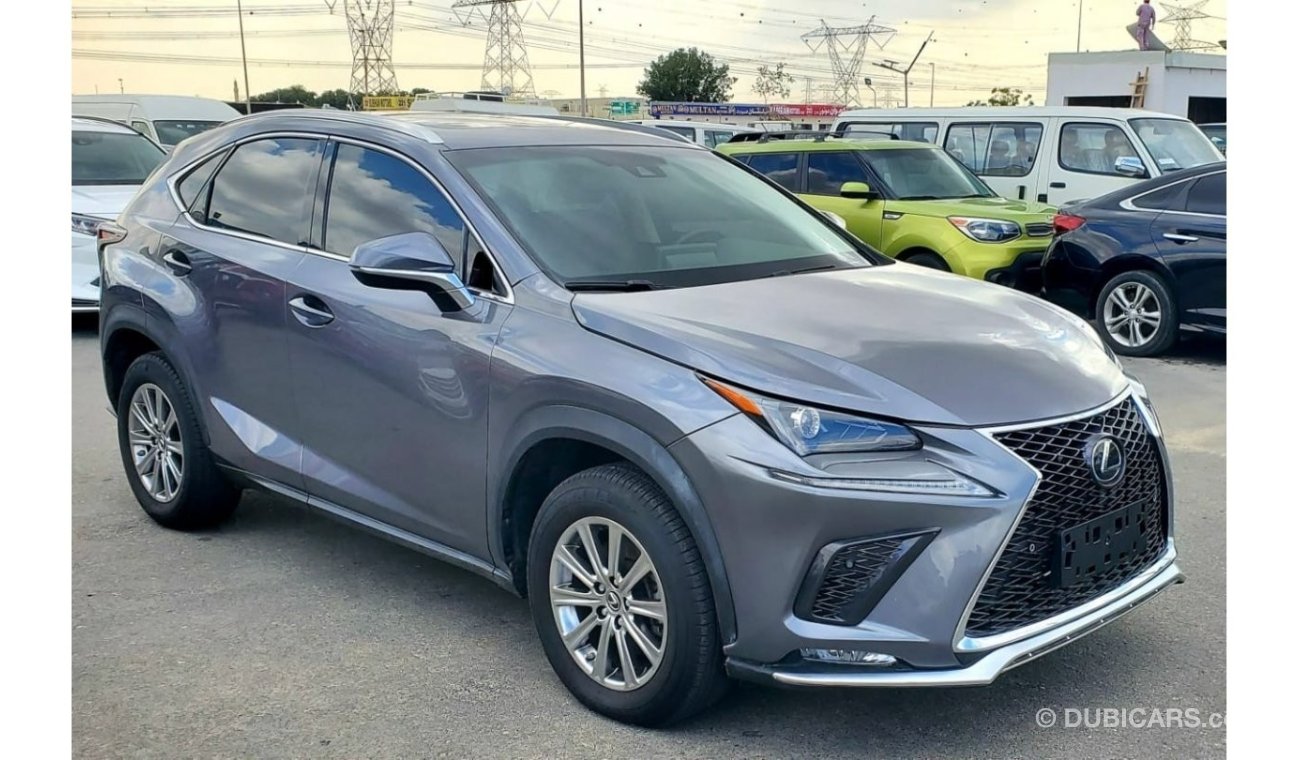 Lexus NX300 LEXUS NX300 2020 GREY