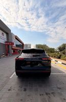 جيتور داشينج