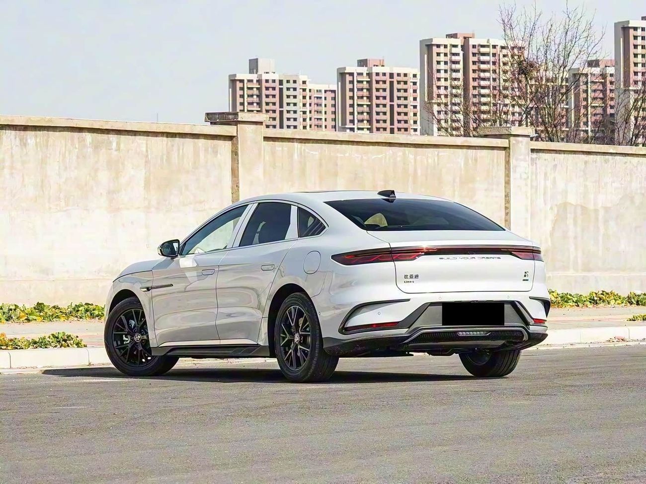 بي واي دي هان DM-i 125KM ELITE EDITION | Smart Driving | 2025 | For Local Registration +10%