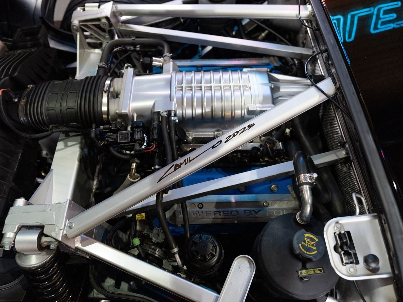 Ford GT Rare 1 of 14 Stripe Delete