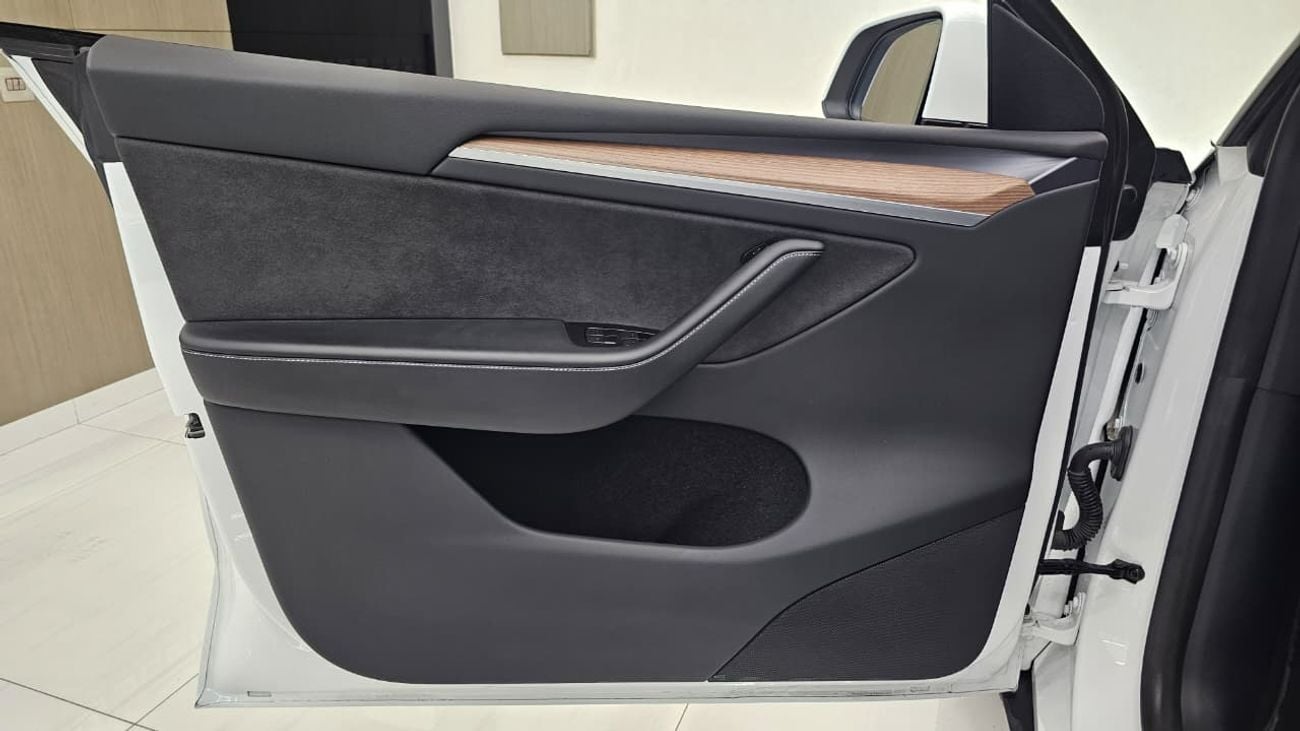 Tesla Model Y PERFORMANCE