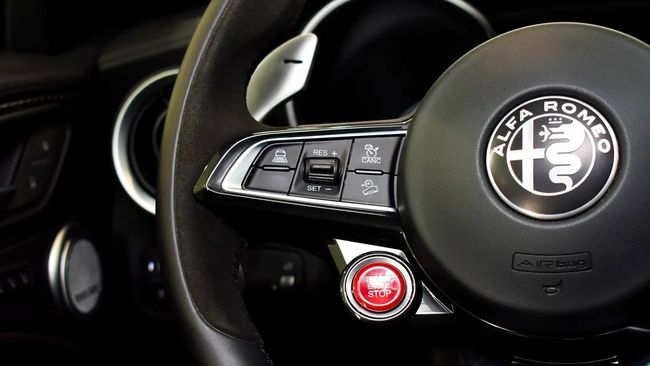 Alfa Romeo Stelvio QUADRIFOGLIO, миниатюра 27