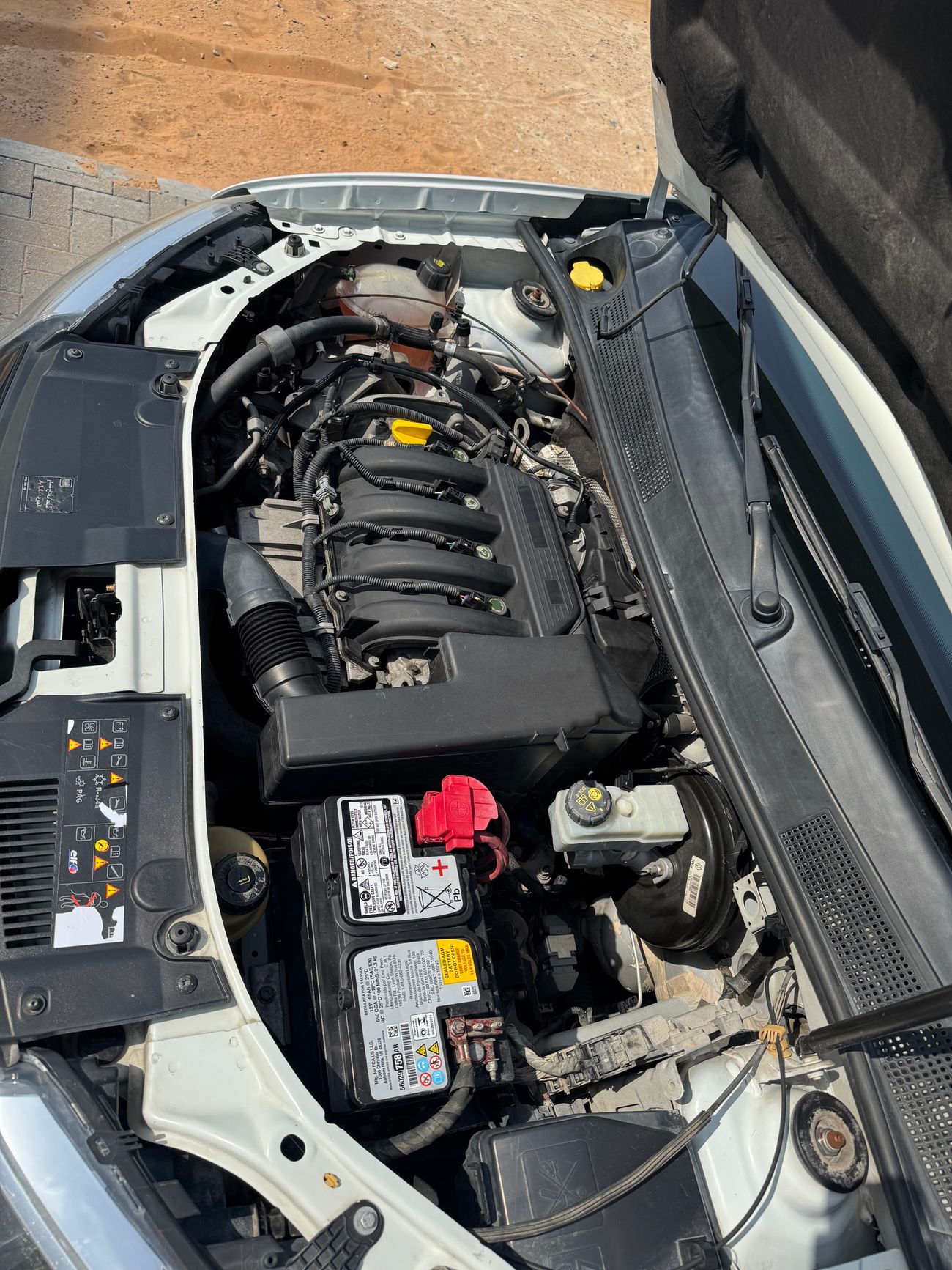 رينو سيمبول