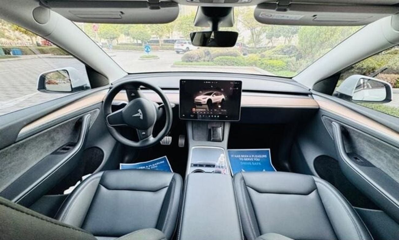 Tesla Model Y PERFORMANCE