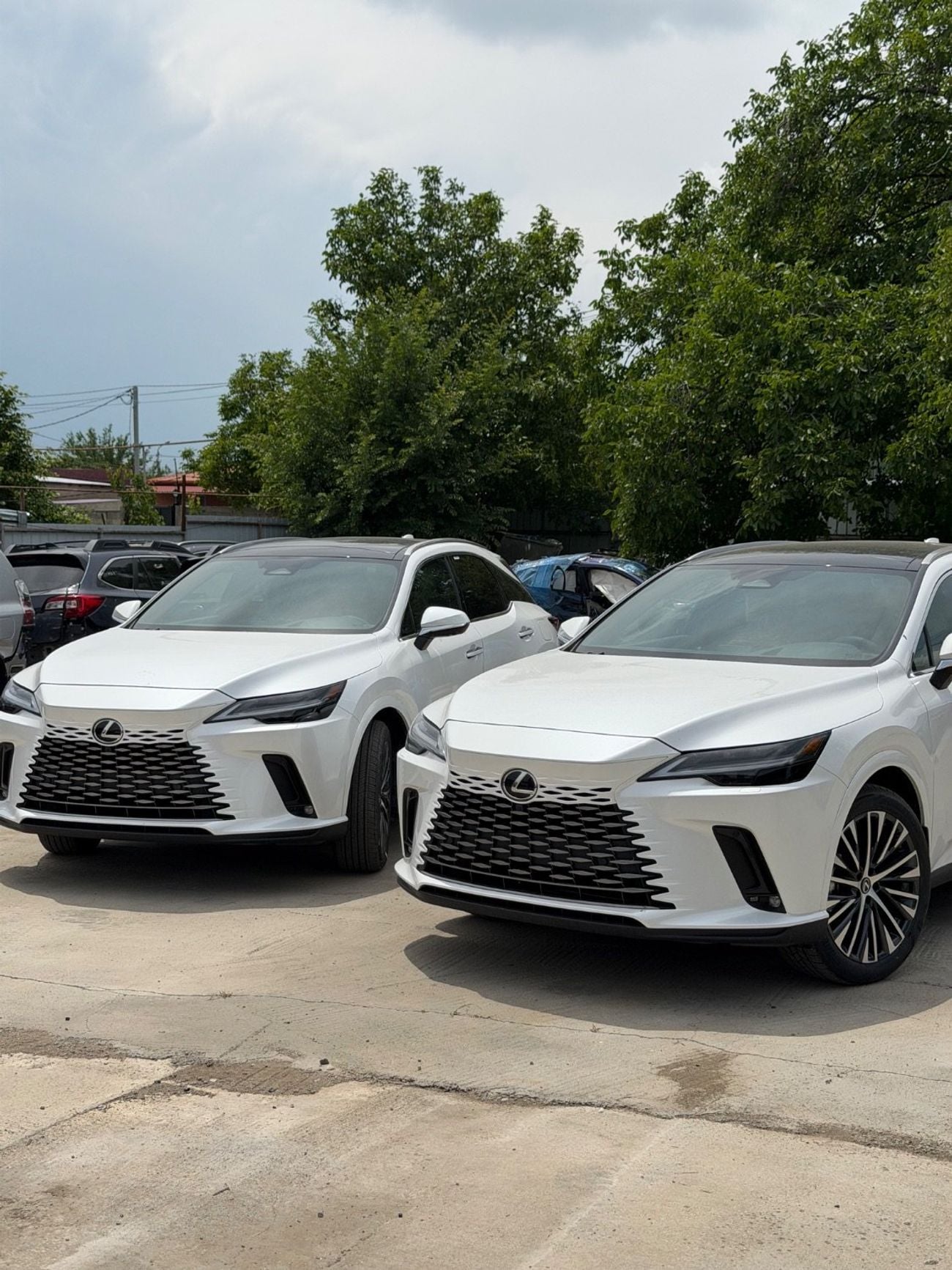 لكزس RX 350 ELITE