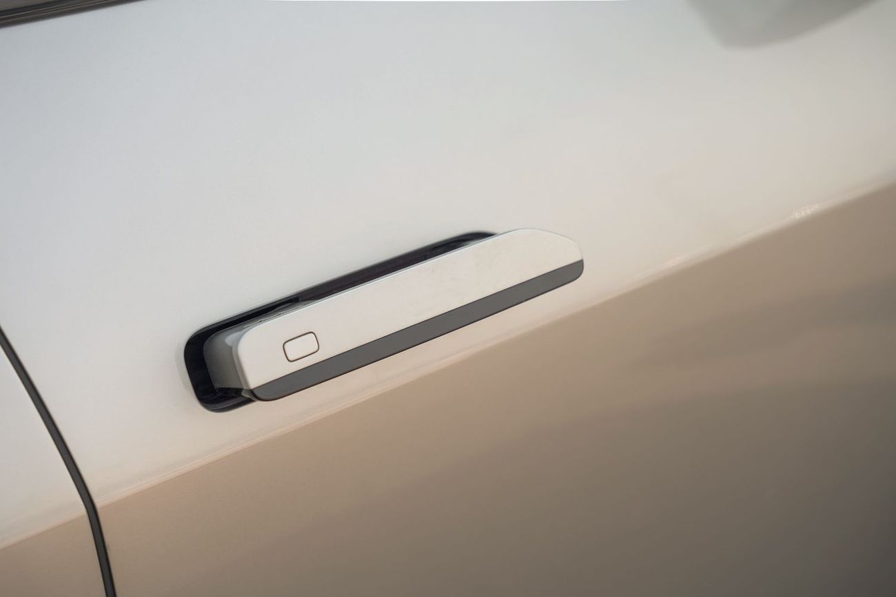 بي واي دي ليوبارد 8 Smart and Brave Flagship Edition (6 Seats)