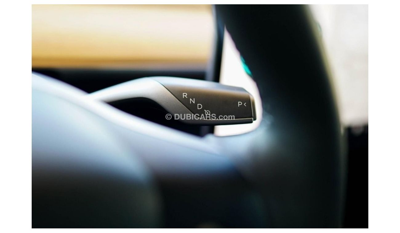 Tesla Model 3 Performance