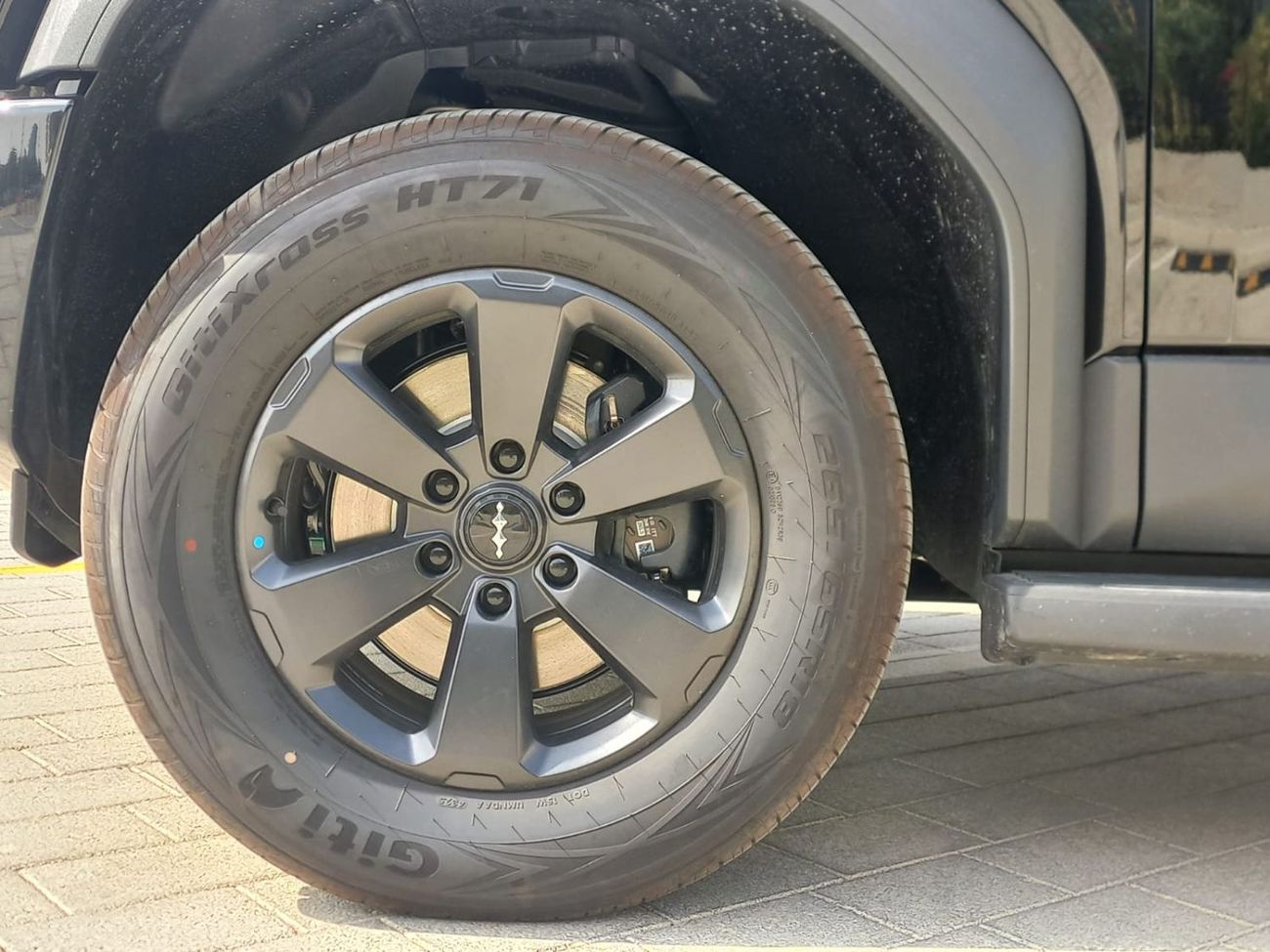 بي واي دي ليوبارد 5