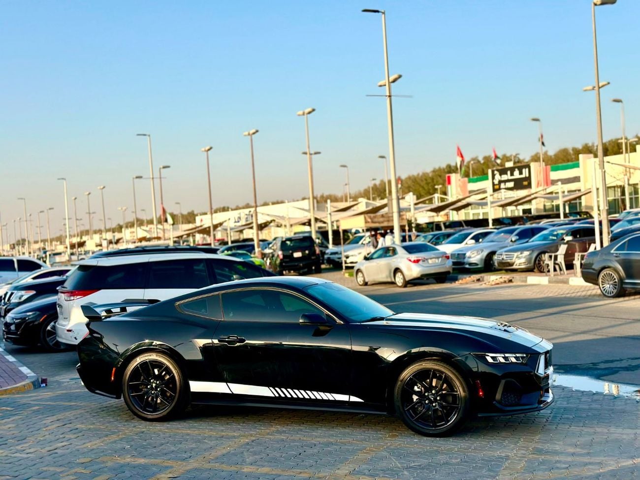 فورد موستانج STD
