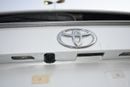 Toyota RAV4 Limited 2.5L hybrid with BSM & Door Molding