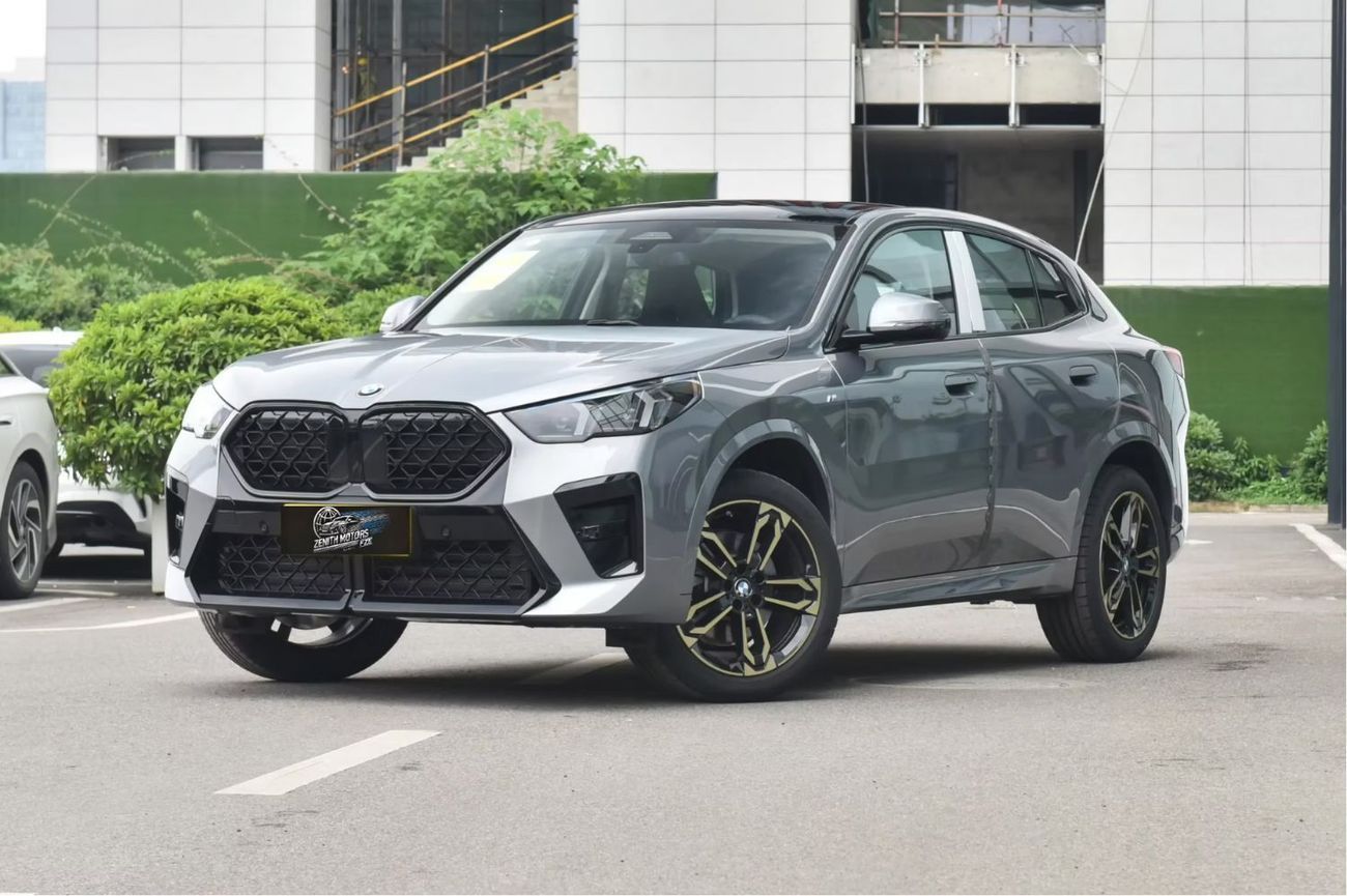 BMW X2 xDrive25i M Sport Night Edition