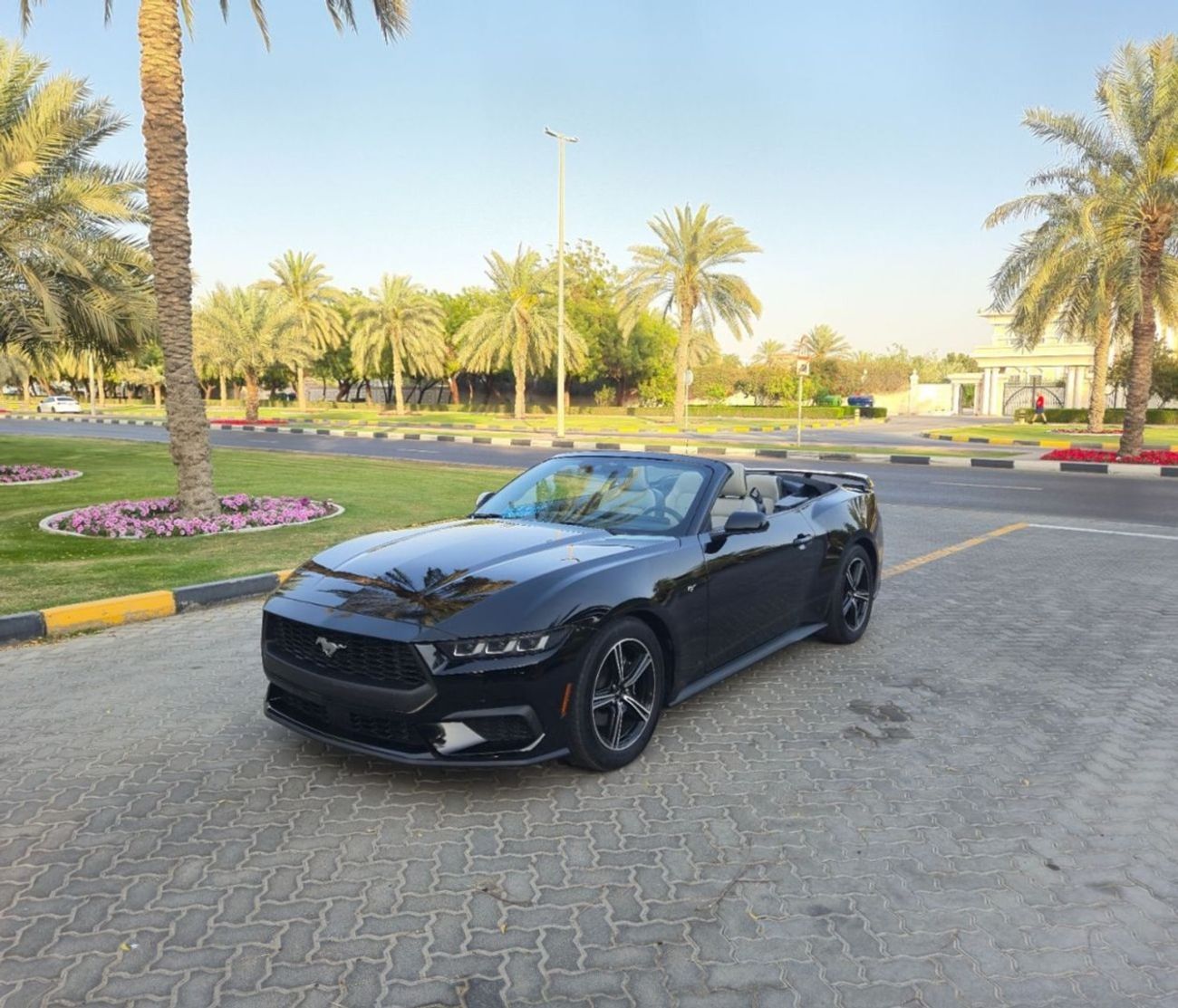 Ford Mustang EcoBoost 2.3L Convertible A/T