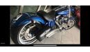 Harley-Davidson Rocker C 2009 Harley-Davidson® FXCWC - Rocker C, 2009 Harley-Davidson® Rocker™ C The chromed-out cousin to th