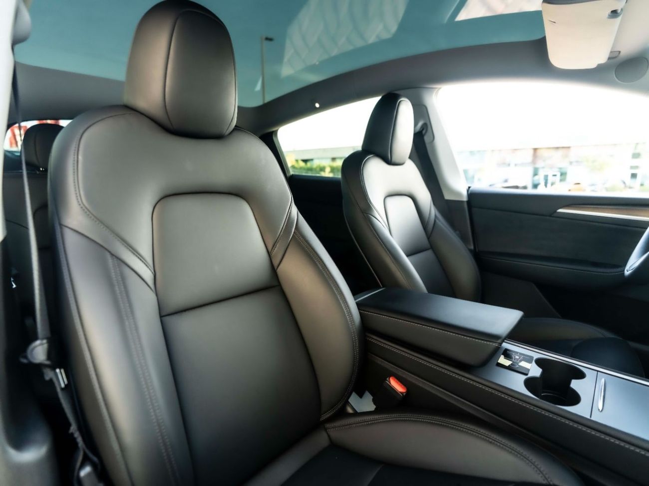 Tesla Model Y PERFORMANCE