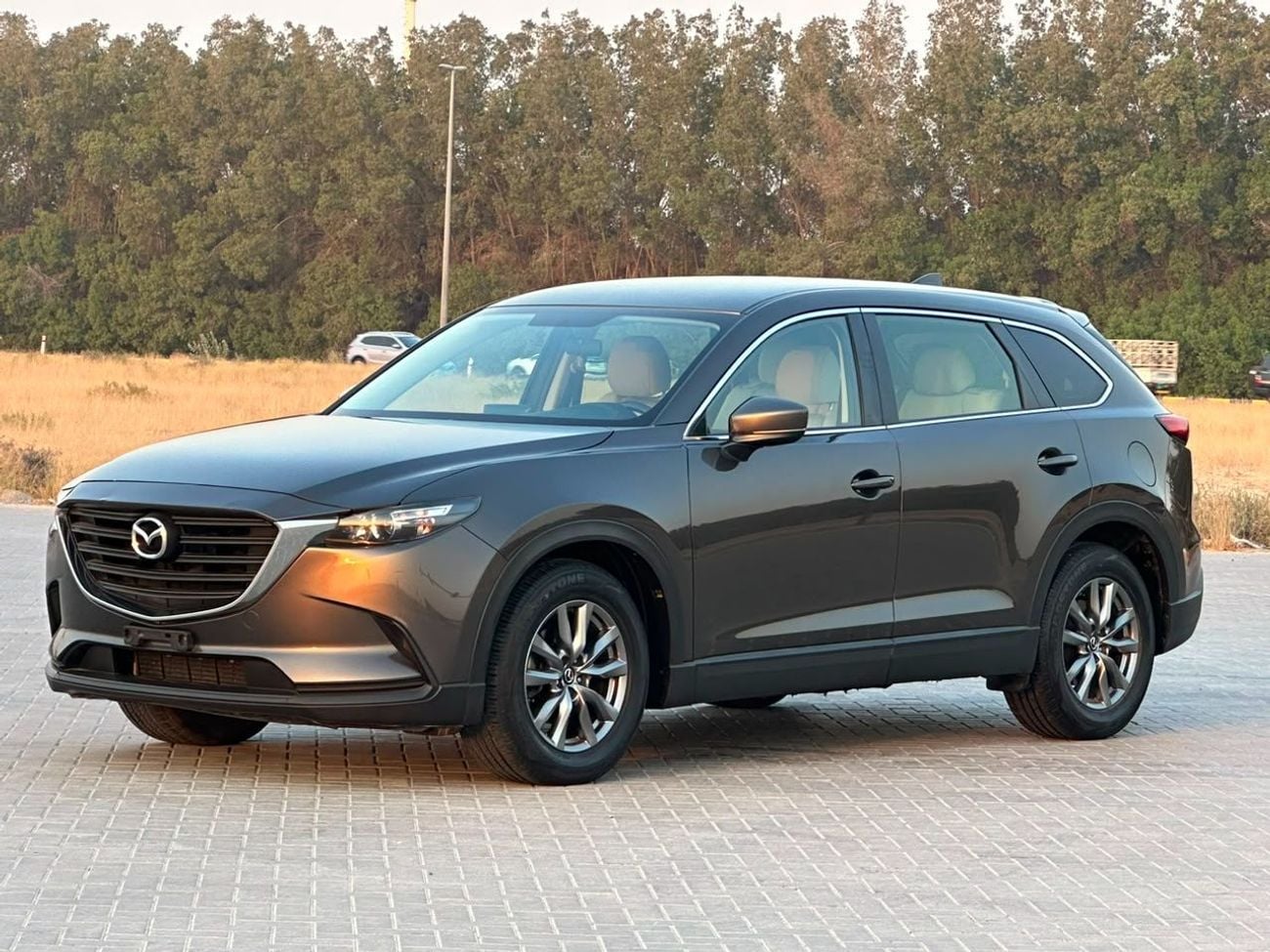 Mazda CX-9 GS