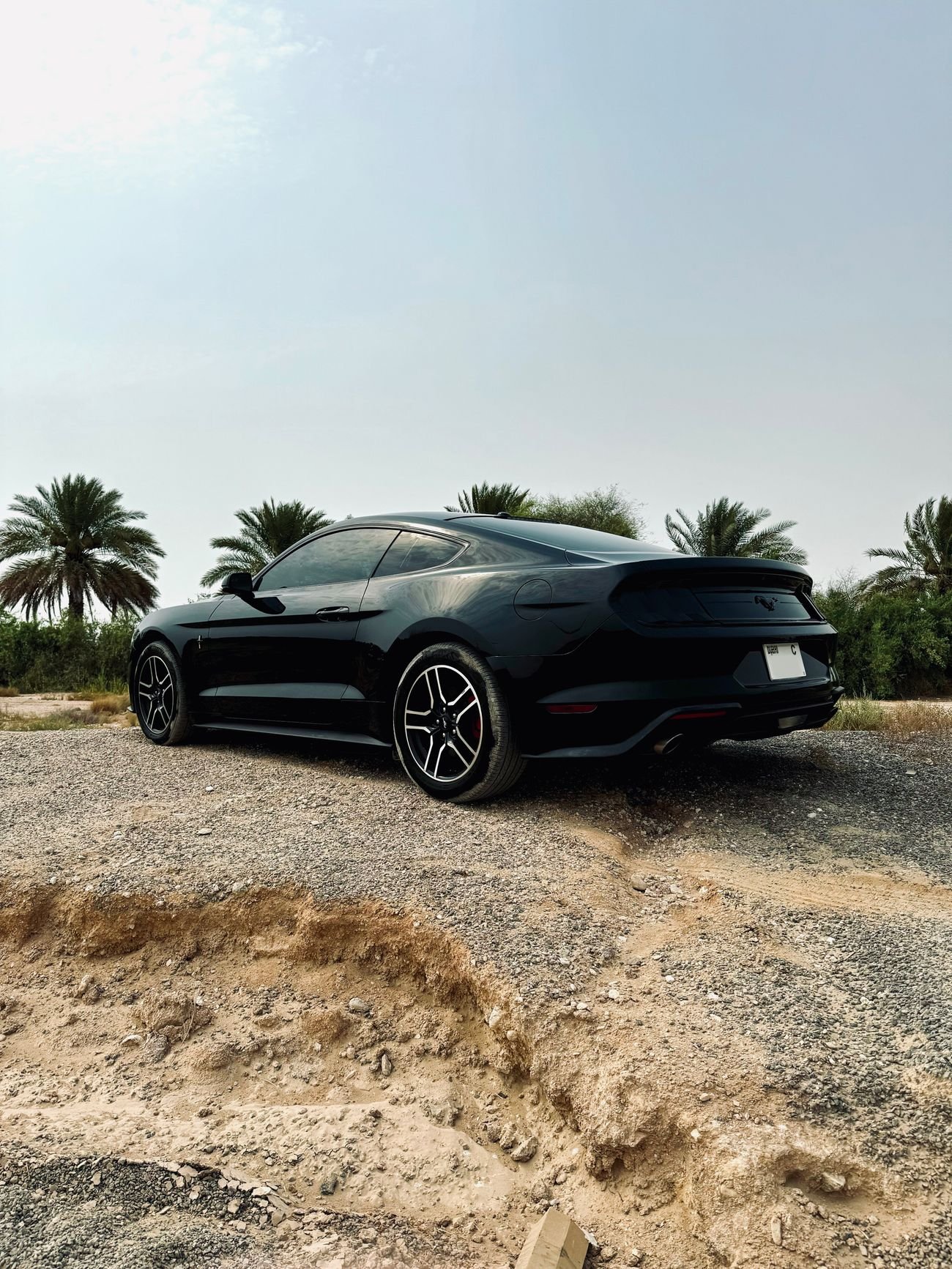 Ford Mustang Ecoboost Premium