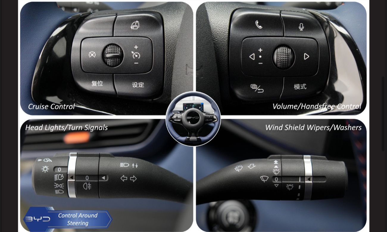 بي واي دي سيجول BYD seagull flying 405 GOLD warranty and service open KM