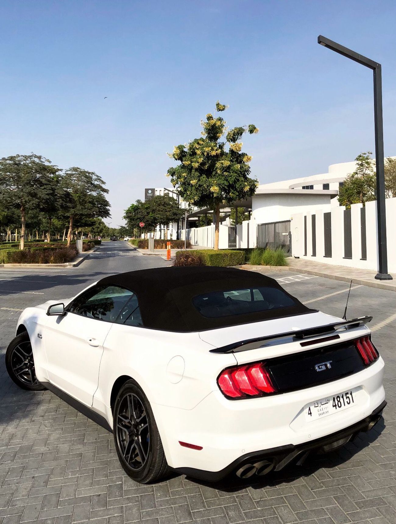 فورد موستانج