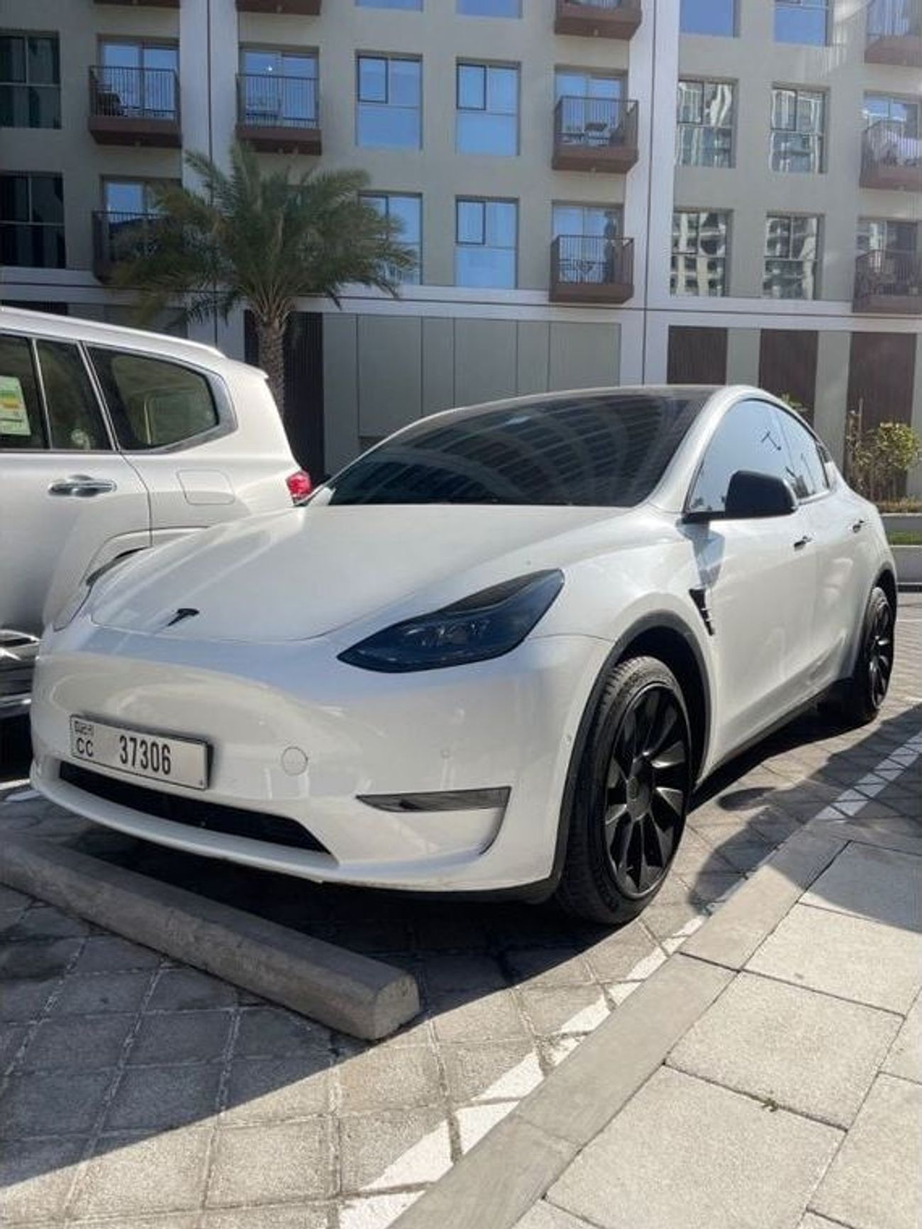 تسلا موديل Y model Y performance