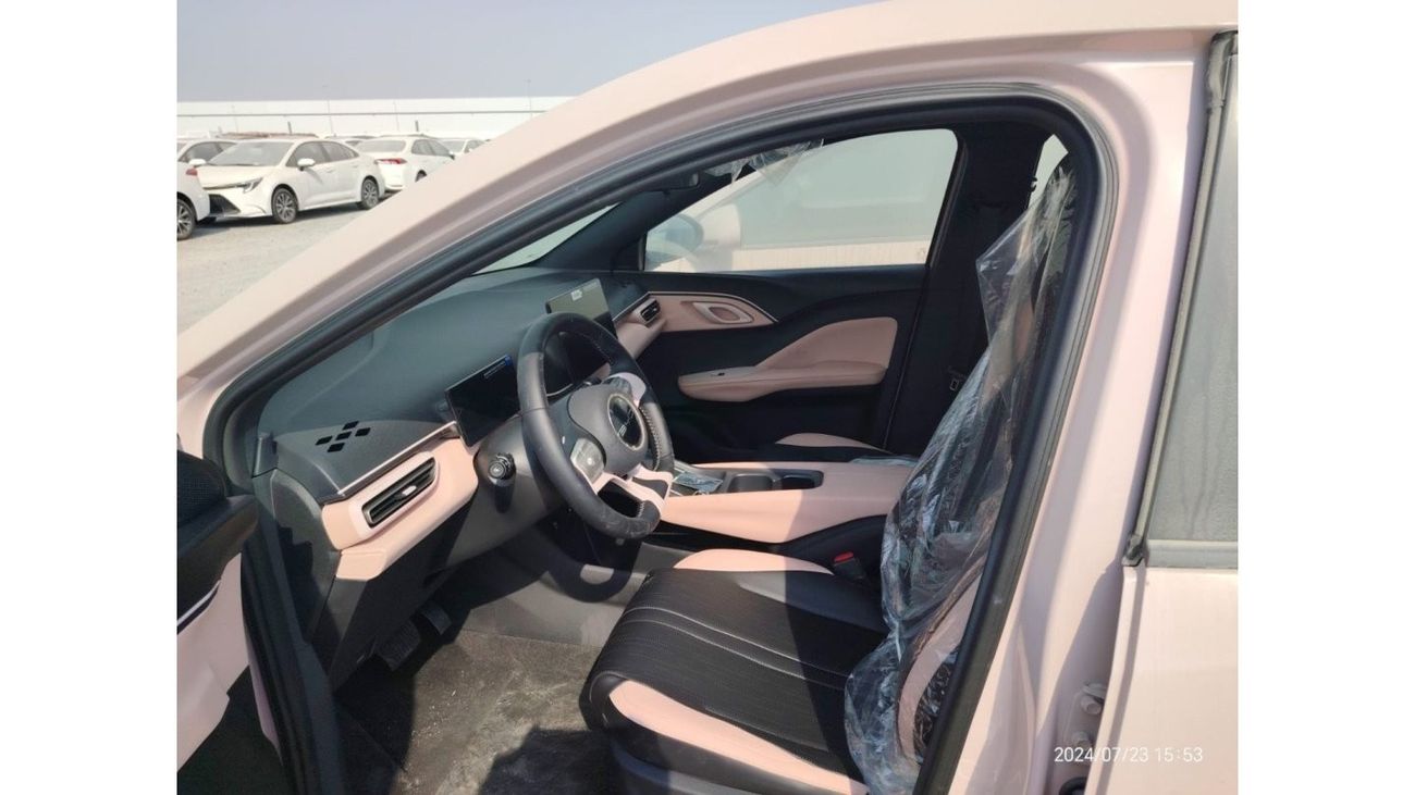 BYD Seagull BYD SEAGULL 2024 FLYING VERSION