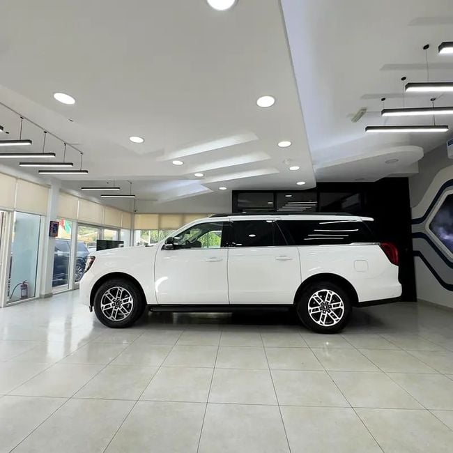 Ford Expedition Active Max, миниатюра 24