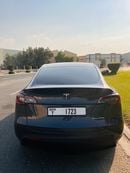 تسلا موديل Y