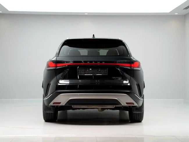 Lexus RX F-SPORT, миниатюра 22