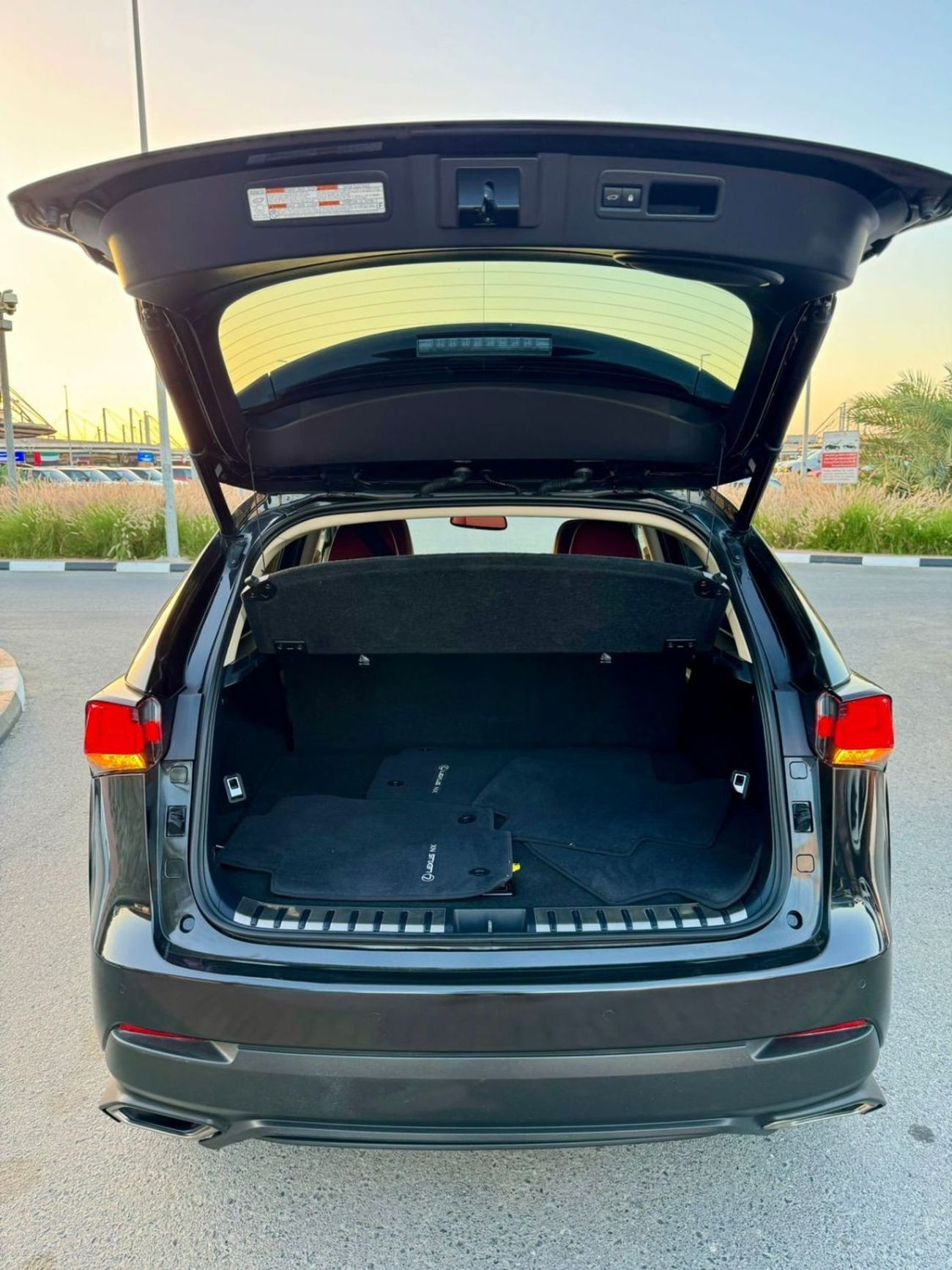 Lexus NX300 2019 LEXUS NX300 F SPORT TURBO