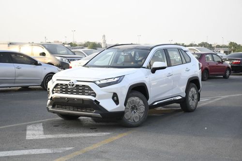 Toyota RAV4 Limited 2.5L hybrid with BSM & Door Molding
