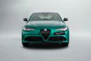 Alfa Romeo Giulia 2025 Alfa Romeo Giulia Tributo Italiano / Agency Warranty & Service Package