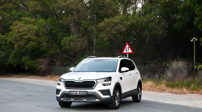Skoda Kushaq PREMIUM OPTION, миниатюра 24