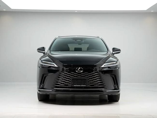 Lexus RX F-SPORT, миниатюра 21