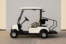 Wuling Mini EV 2021 Wuling Golf Cart 2 ST - White inside Brown | Export Price