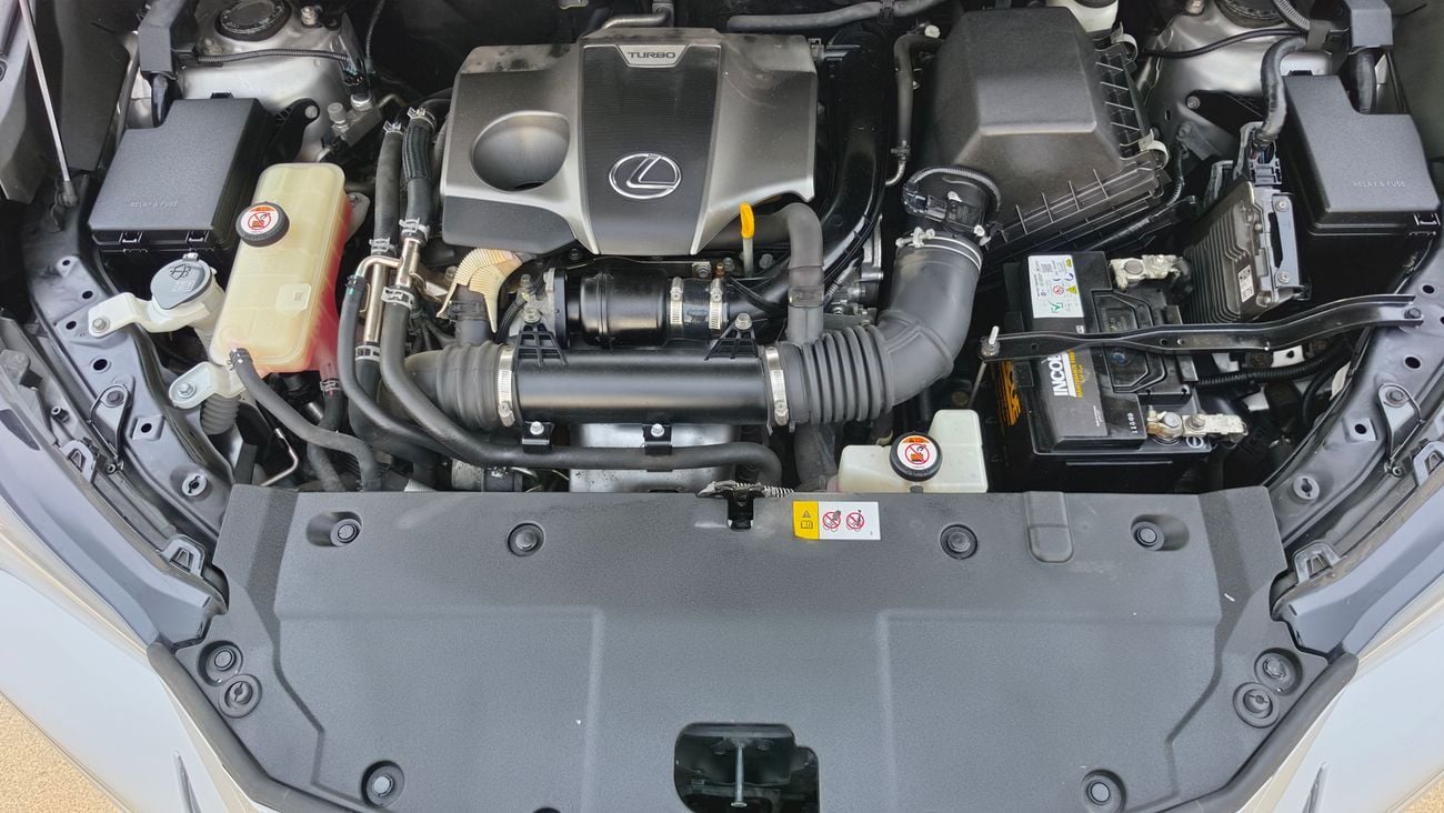 Lexus NX200t STANDARD