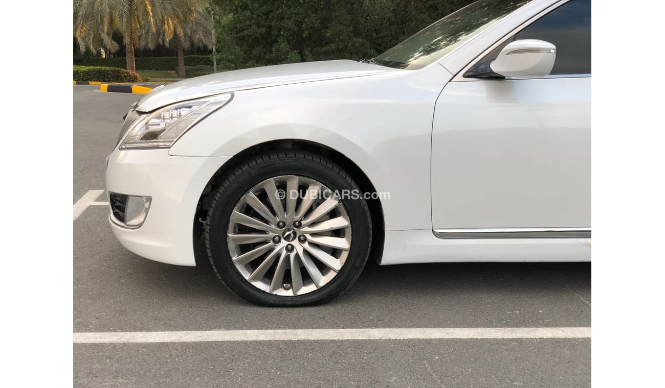 هيونداي ايكوس American importer