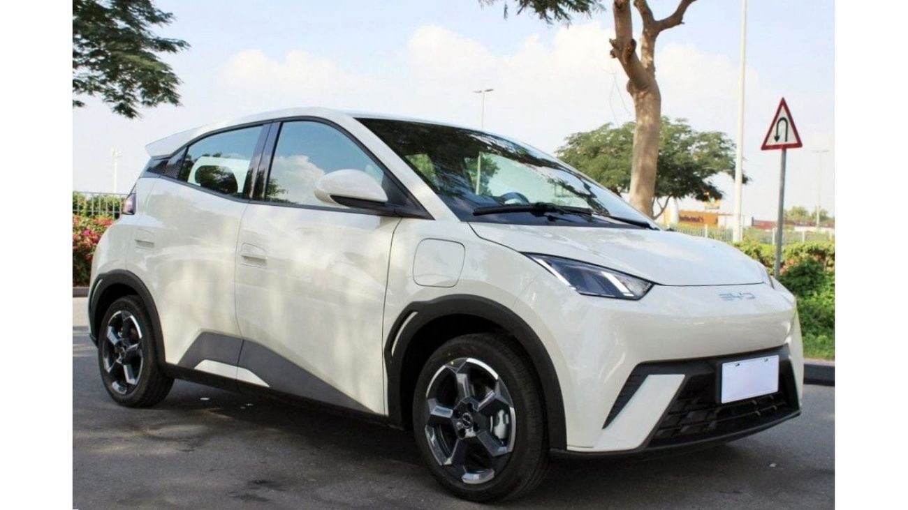 BYD Seagull 38.88kWh 75Hp EV 2023YM