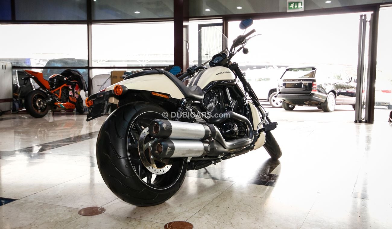 Harley-Davidson VRSCF 1300 CC