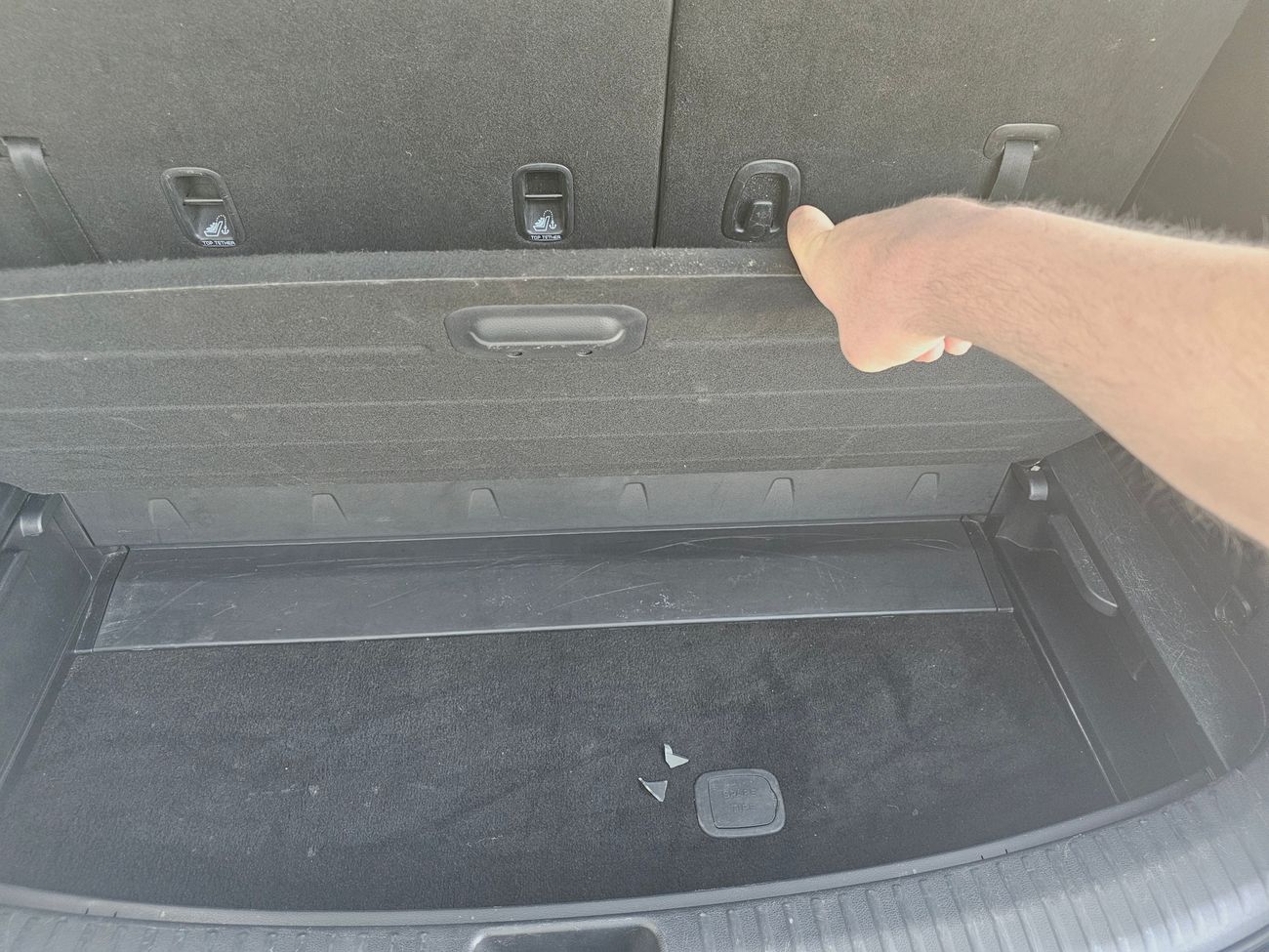 كيا تيلورايد