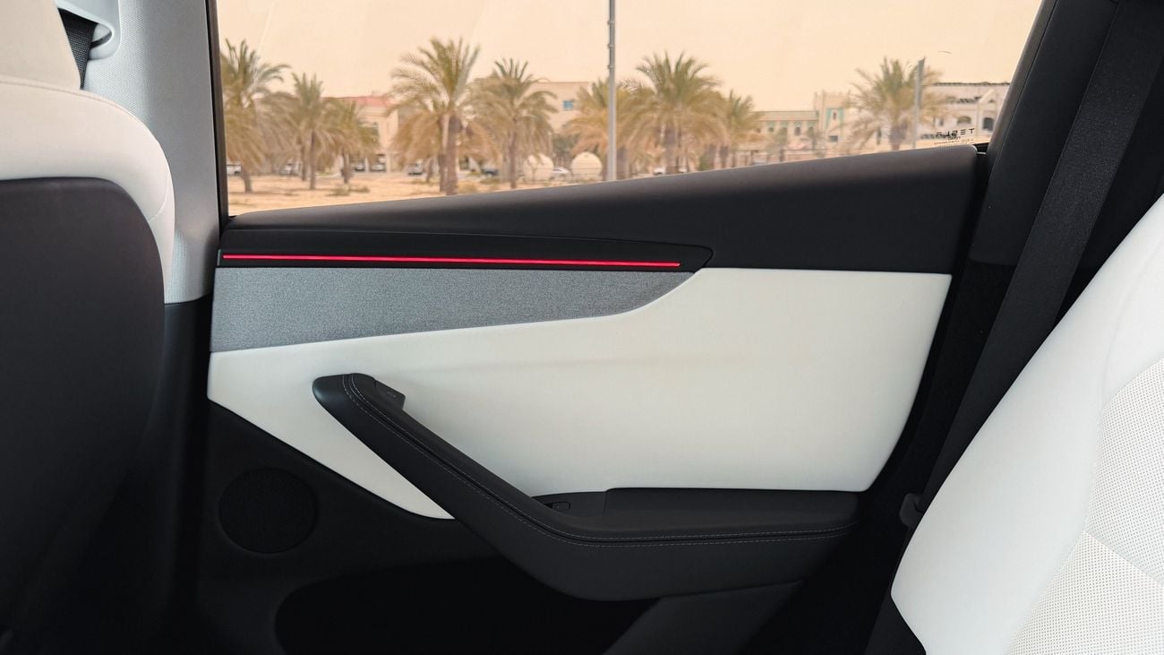 Tesla Model Y LONG RANGE